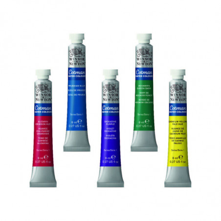 Acuarela En Pomo Winsor Cotman X 8 ml