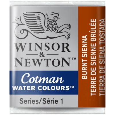 Acuarelas Winsor & Newton Cotman en Pastillas | Bartola Artística